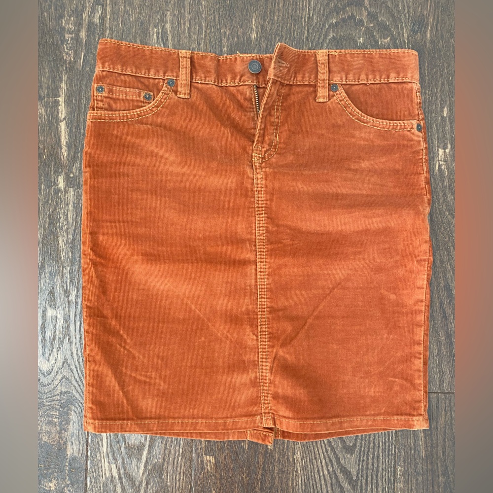 Adorable fall skirt